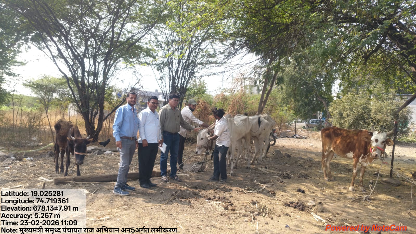 Cattle vaccination drive — Mukhyamantri Samrudh Panchayat Raj Abhiyan