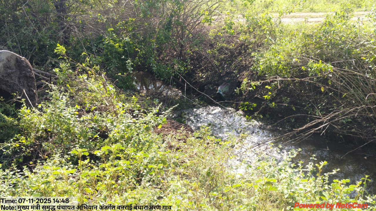 Vanrai Bandhara — water harvesting in progress